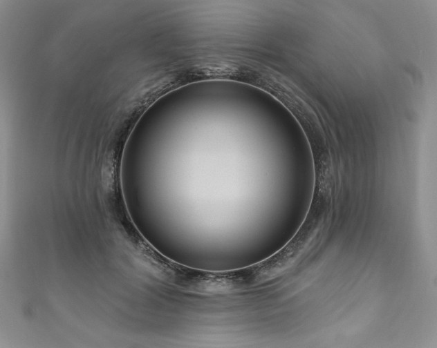 X0000111200604200907011435