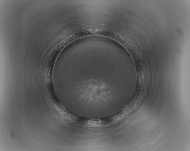 X0000111200606200907011435