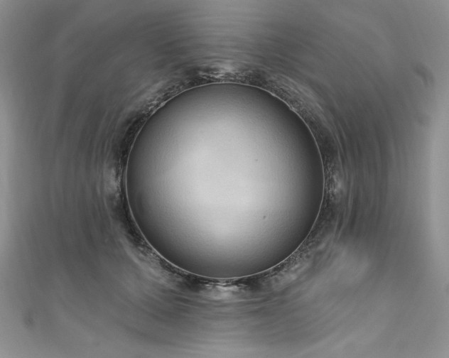 X0000111200607200907011435