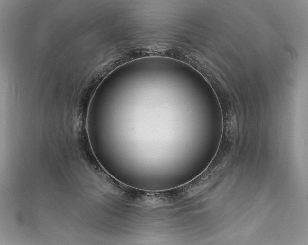 X0000111200608200907011435