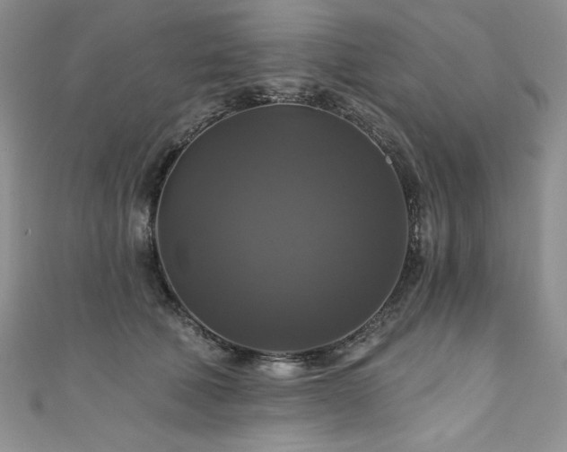 X0000111200610200907011435