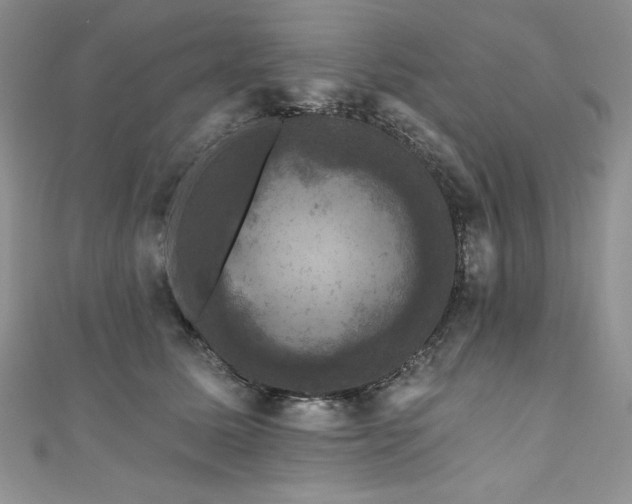 X0000111200611200907011435