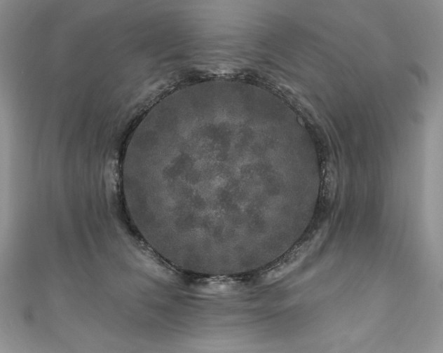 X0000111200612200907011434