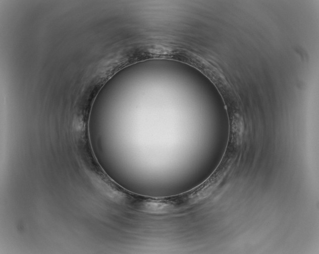 X0000111200614200907011434