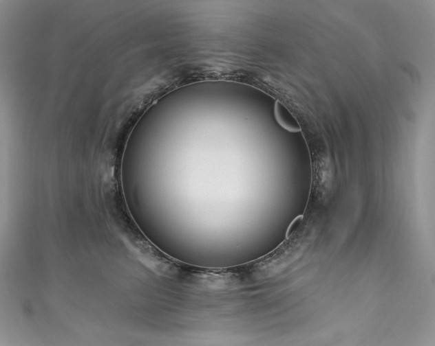 X0000111200615200907011434