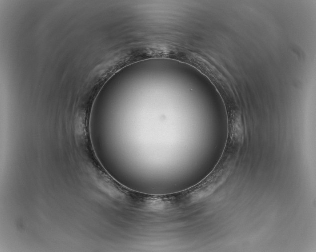 X0000111200616200907011434