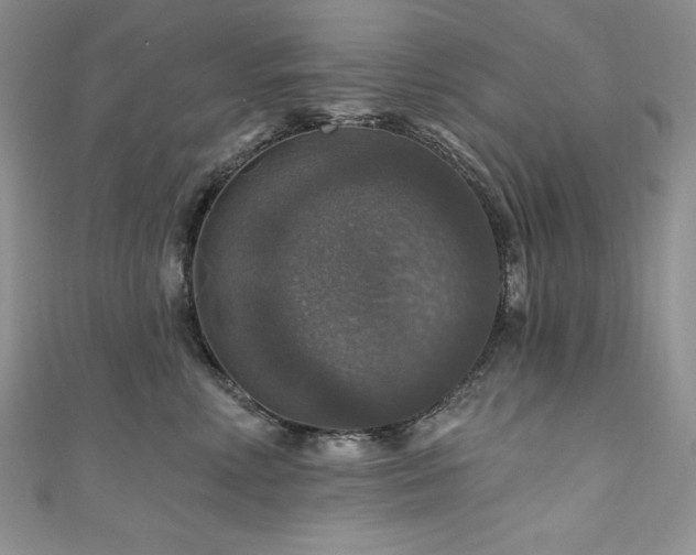 X0000111200618200907011434