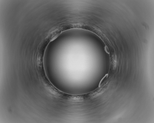 X0000111200619200907011434