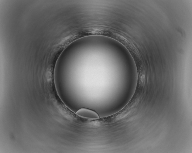 X0000111200620200907011434