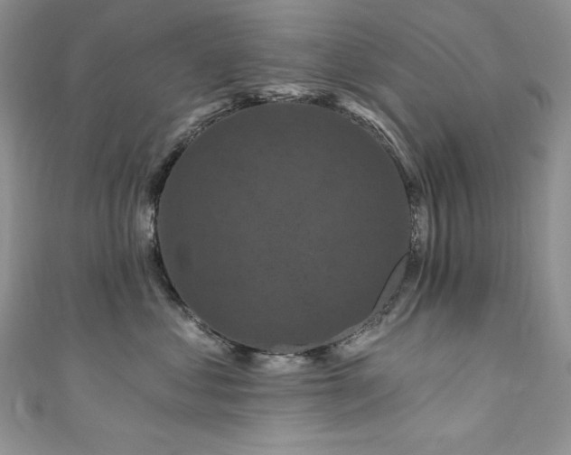 X0000111200621200907011434