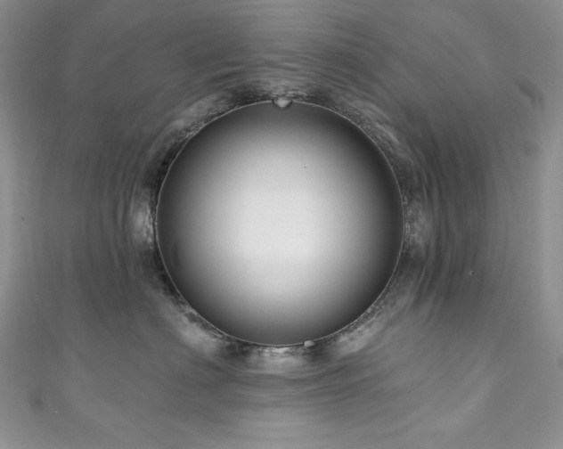 X0000111200622200907011434