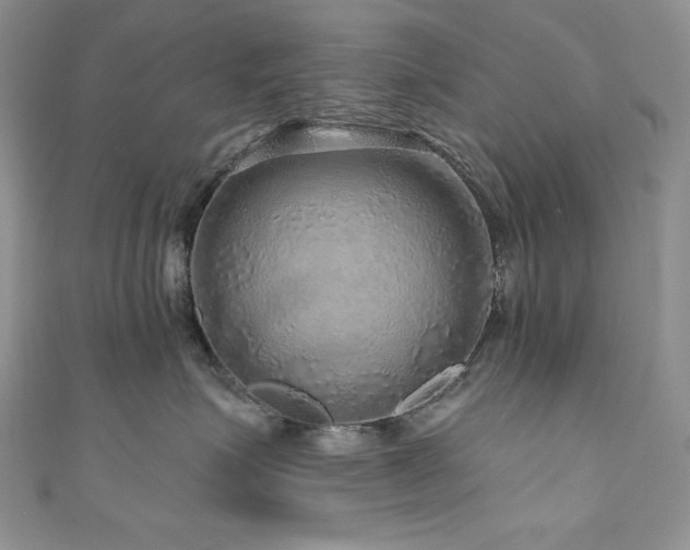 X0000111200623200907011434