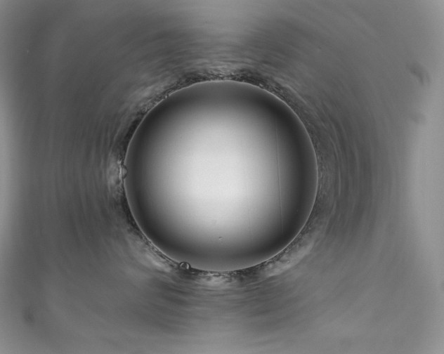 X0000111200624200907011434