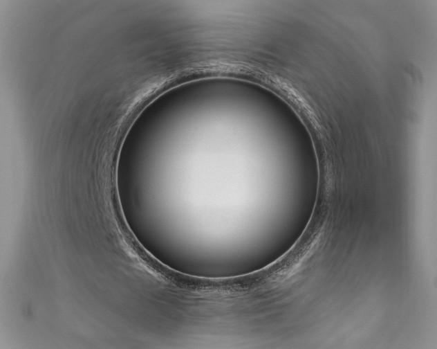 X0000111200625200907011434