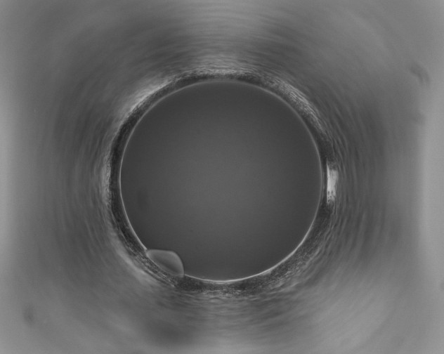 X0000111200627200907011434