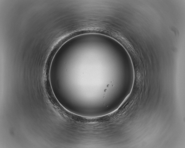 X0000111200628200907011434