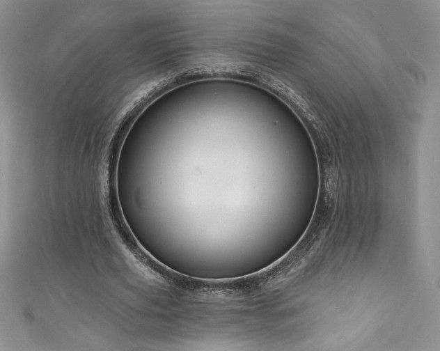 X0000111200629200907011434