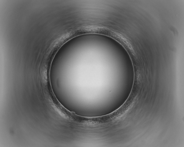 X0000111200633200907011434