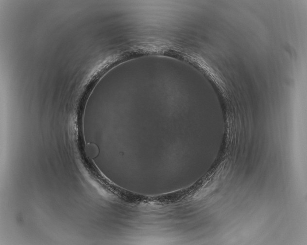 X0000111200634200907011434