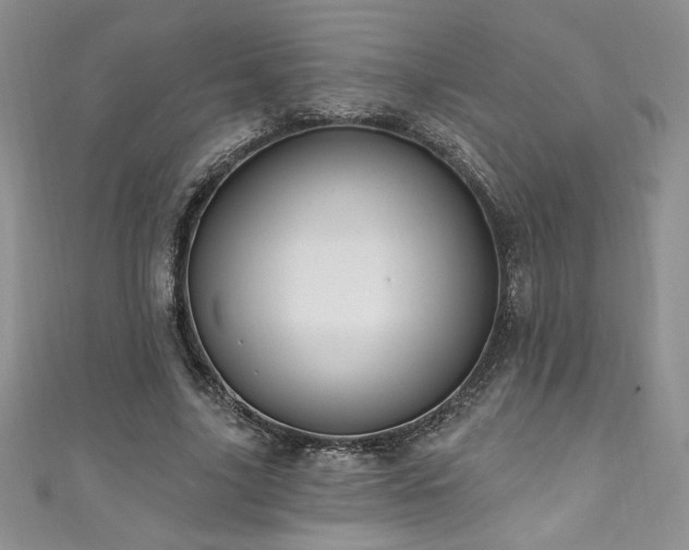 X0000111200635200907011434