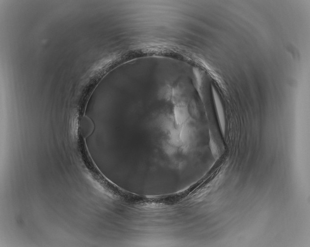 X0000111200637200907011434