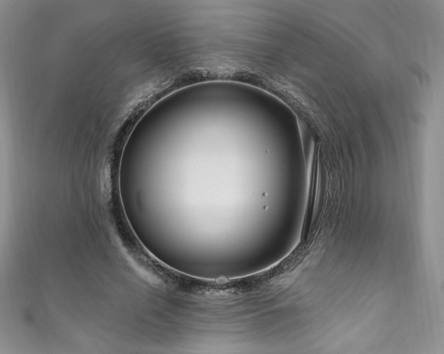 X0000111200638200907011434