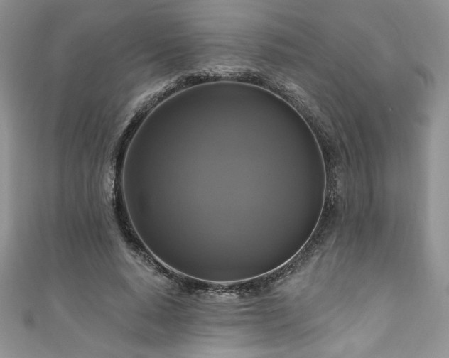 X0000111200640200907011434