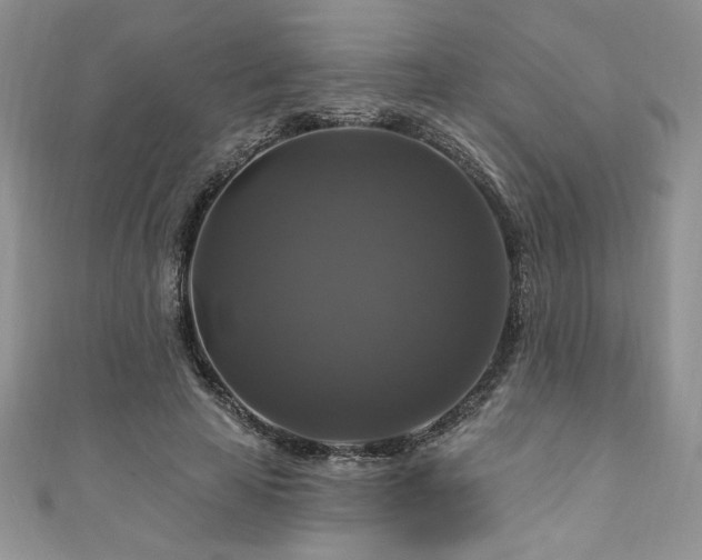 X0000111200641200907011434