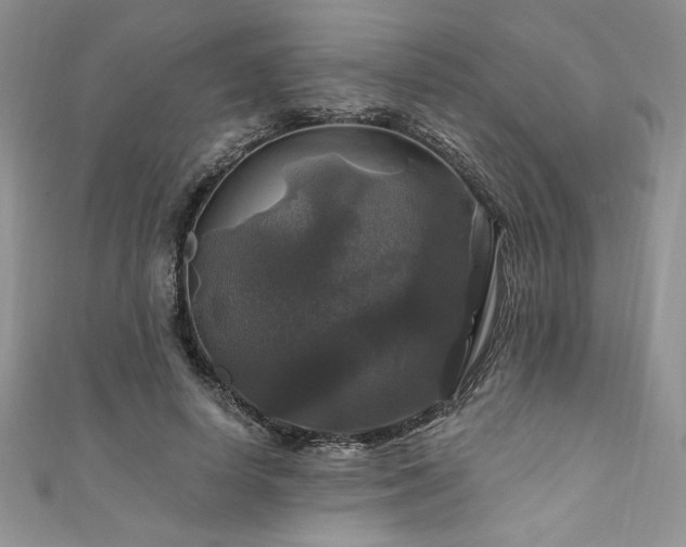 X0000111200642200907011434