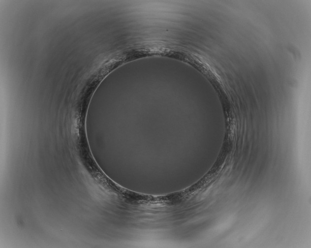 X0000111200643200907011434