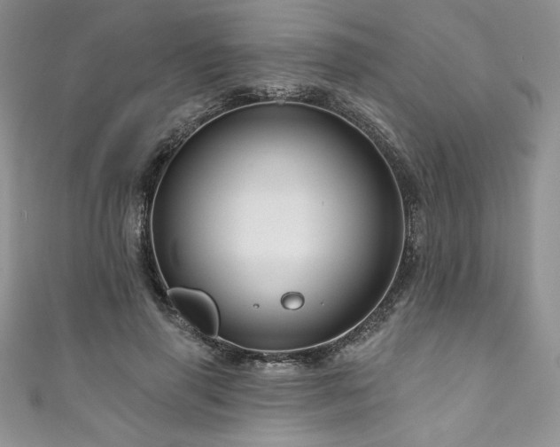 X0000111200645200907011434