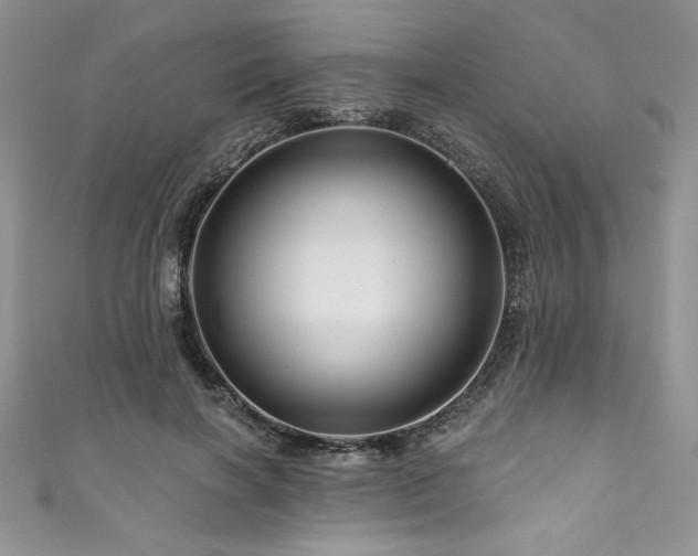 X0000111200646200907011434