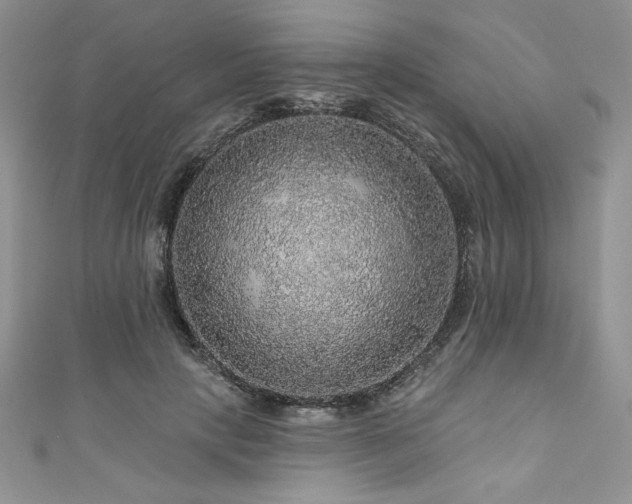 X0000111200649200907011434