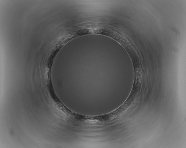 X0000111200650200907011434