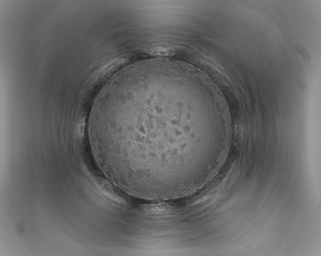 X0000111200652200907011434