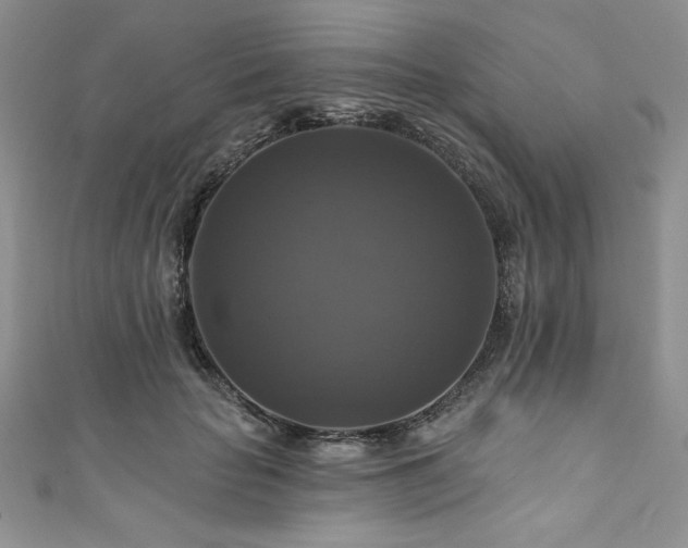 X0000111200653200907011434