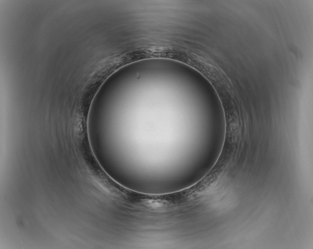 X0000111200654200907011434