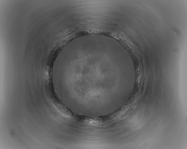 X0000111200655200907011434