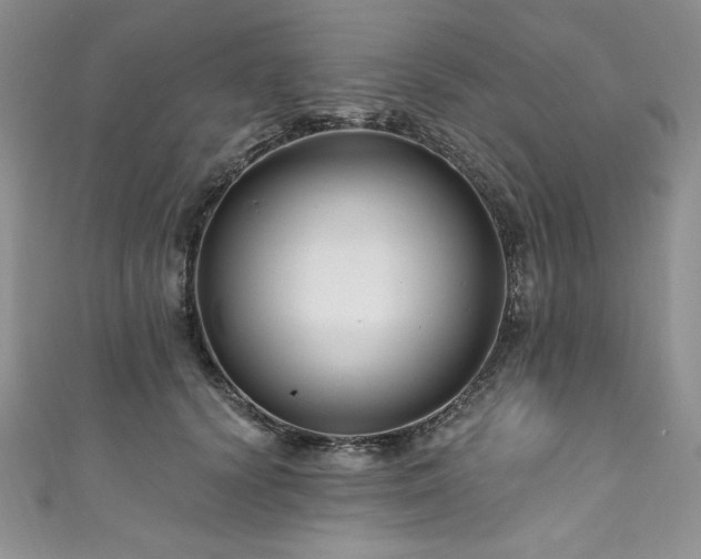 X0000111200656200907011434