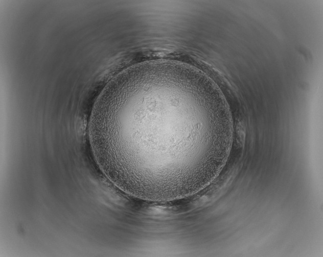 X0000111200657200907011434