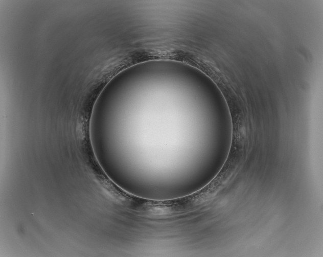 X0000111200658200907011434