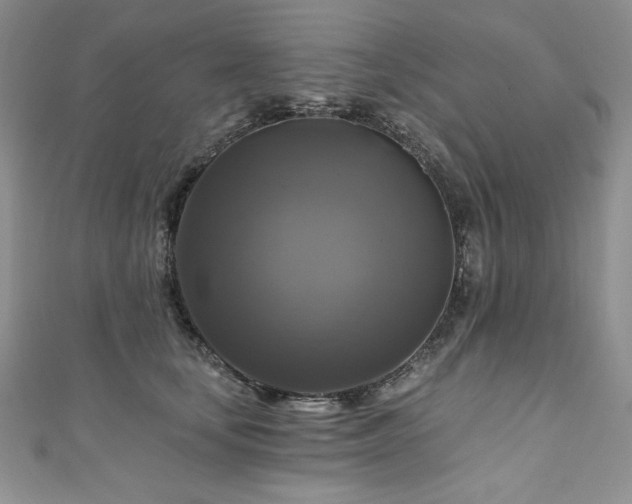 X0000111200659200907011434