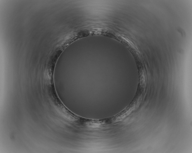 X0000111200661200907011434