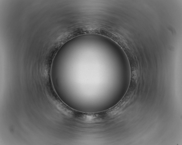 X0000111200662200907011434