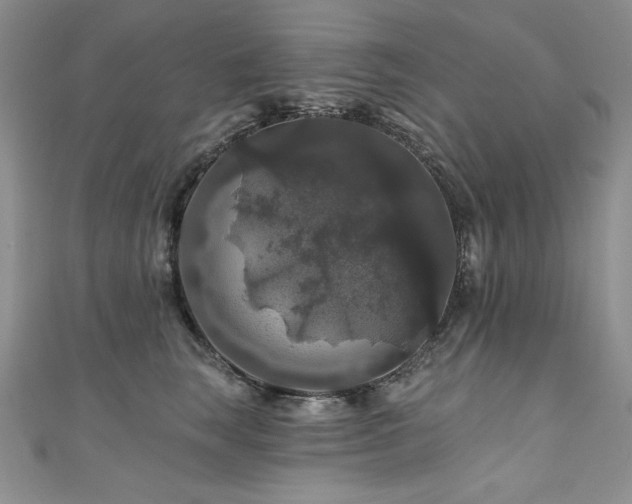 X0000111200663200907011434