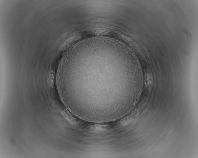 X0000111200664200907011434