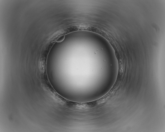 X0000111200666200907011434