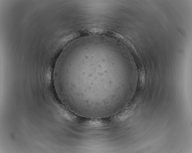 X0000111200668200907011434