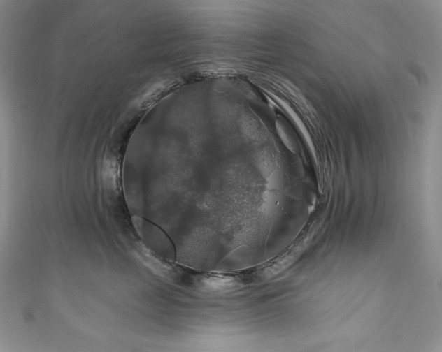 X0000111200669200907011434