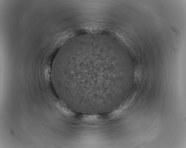 X0000111200671200907011434